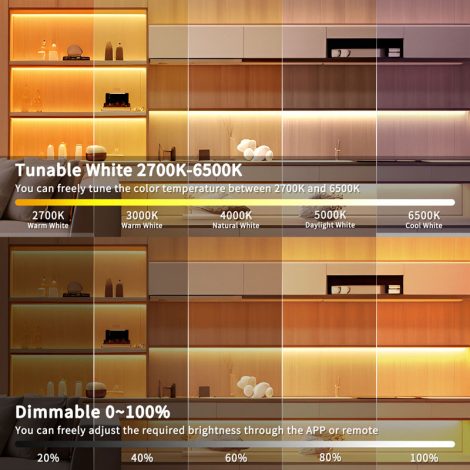 10W+10W 3-Wire Dual White LED Strip, 576LEDs/m, 8mm, 24V, 20.83mm Cut, 2700K-6500K, 5m/Reel 004 Enlarged Image